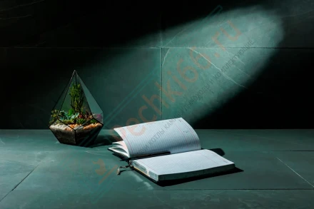 Плитка сланец Black Brushed Brazil 600 x 300 x 10 мм (1,08 м2 / 6 шт)